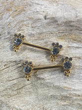 Load image into Gallery viewer, Nipple Piercing Surgical