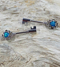 Load image into Gallery viewer, Nipple Piercing Surgical