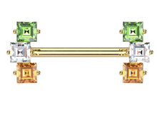 Load image into Gallery viewer, Nipple Piercing Surgical