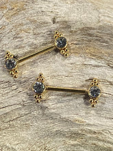 Load image into Gallery viewer, Nipple Piercing Surgical