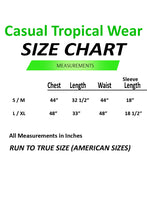 Load image into Gallery viewer, Aaina Jumpsuit