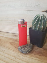Load image into Gallery viewer, Bic Lighter Classic