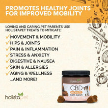 Load image into Gallery viewer, CBD Dog Mobility Chews