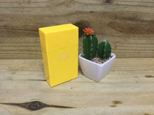 Load image into Gallery viewer, Fujima Neon Color Cig Case - 100mm