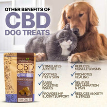 Load image into Gallery viewer, CBD Dog Wellness Treats