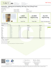 Load image into Gallery viewer, CBD Dog Mobility Treats