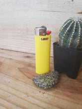 Load image into Gallery viewer, Bic Lighter Classic