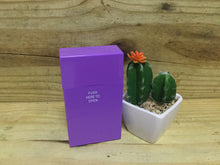 Load image into Gallery viewer, Fujima Neon Color Cig Case - 100mm