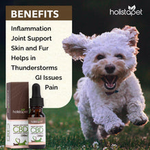 Load image into Gallery viewer, CBD Oil for Pets