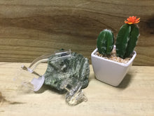 Load image into Gallery viewer, Pulsar Opal Quartz Core Reactor Banger w Carb Cap