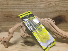 Load image into Gallery viewer, King Palm Banana Cream