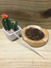 Load image into Gallery viewer, Zen Hard Bristle Pipe Cleaners