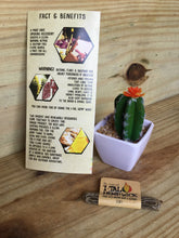 Load image into Gallery viewer, I-TAL Hemp Wick Small