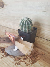 Load image into Gallery viewer, Nat-U-Roll Original King Size Cone