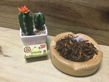 Load image into Gallery viewer, Raw Organic Hemp Rolls Rolling Papers