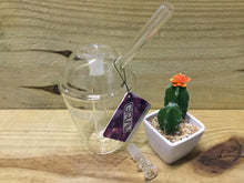 Load image into Gallery viewer, Grav Sip Series - Slush Cup