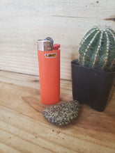 Load image into Gallery viewer, Bic Lighter Classic