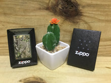 Load image into Gallery viewer, Zippo Lighter