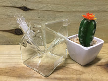 Load image into Gallery viewer, Grav Sip Series - Milk Carton