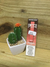 Load image into Gallery viewer, Switch Mods Disposable Device