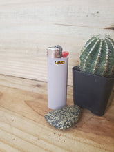 Load image into Gallery viewer, Bic Lighter Classic