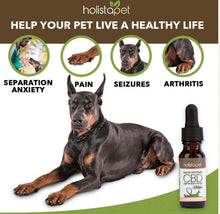 Load image into Gallery viewer, CBD Oil for Pets
