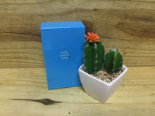 Load image into Gallery viewer, Fujima Neon Color Cig Case - 100mm