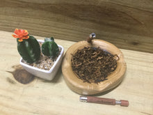 Load image into Gallery viewer, Pulsar Rosewood Push Ejector Taster Bat
