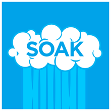 Load image into Gallery viewer, Formula 420 Soak & Rinse (S1)