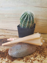 Load image into Gallery viewer, Nat-U-Roll Original King Size Cone