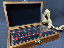 Load image into Gallery viewer, RAW Domino Set