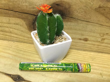 Load image into Gallery viewer, Cyclone Pre-Rolled Clear Cigar Tube