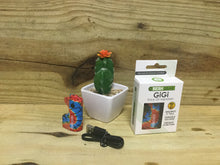 Load image into Gallery viewer, Sesh Gear Gigi