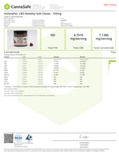 Load image into Gallery viewer, CBD Dog Mobility Chews