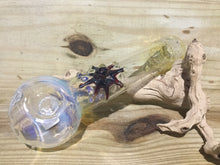 Load image into Gallery viewer, Glass Pipe
