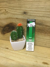 Load image into Gallery viewer, Switch Mods Disposable Device