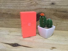 Load image into Gallery viewer, Fujima Neon Color Cig Case - 100mm