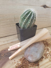 Load image into Gallery viewer, Nat-U-Roll Original King Size Cone