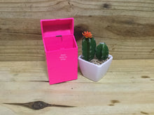 Load image into Gallery viewer, Fujima Neon Color Cig Case - 100mm
