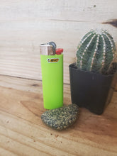 Load image into Gallery viewer, Bic Lighter Classic