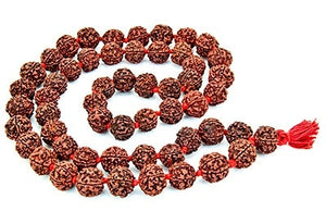 54 Beads Rudraksha Prayer Mala 16MM