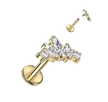 Load image into Gallery viewer, Cartilage/Labret Piercing TIL952
