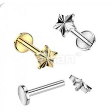 Load image into Gallery viewer, Cartilage/Labret Piercing TIL154
