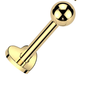 Cartilage/Labret Piercing TILH01