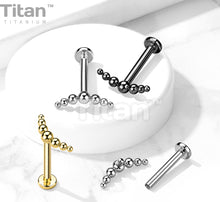 Load image into Gallery viewer, Cartilage/Labret Piercing TIL38
