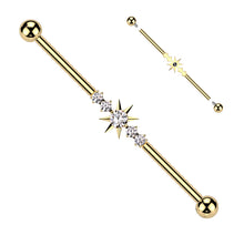 Load image into Gallery viewer, Industrial Barbell Piercing TIBI10
