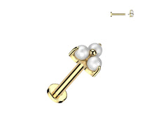 Load image into Gallery viewer, Cartilage/Labret Piercing TIL371
