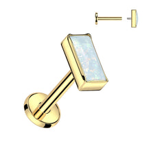 Load image into Gallery viewer, Cartilage/Labret Piercing TIL948P
