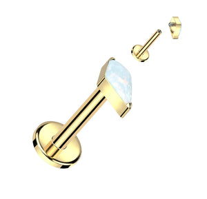Cartilage/Labret Piercing TIL968
