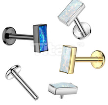 Load image into Gallery viewer, Cartilage/Labret Piercing TIL948P
